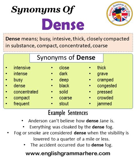 antonyms of dense|denser synonym.